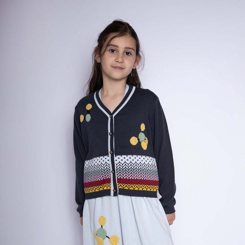 Grey Boys and Girls Cardigan with Hand Embroidery