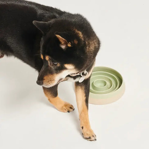 Handmade Ceramic Slow Feeder - Emerald