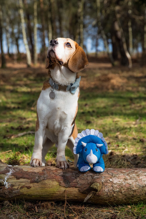 100% Recycled Plastic Plush Dinosaur Dog Toy