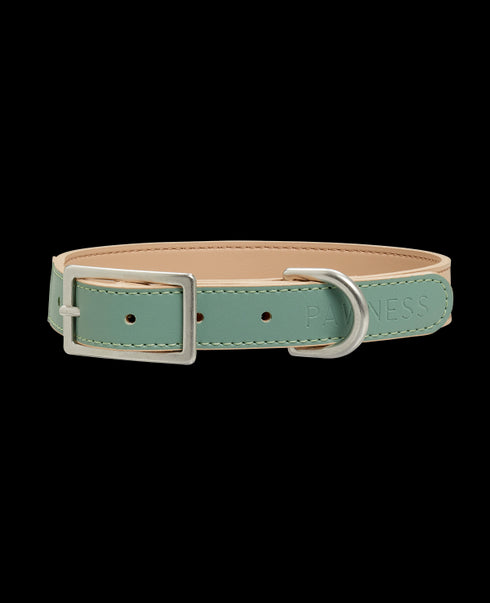Vegan Leather Collar Bo