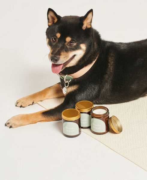 Relaxing Scented Candle Woofs Whiff