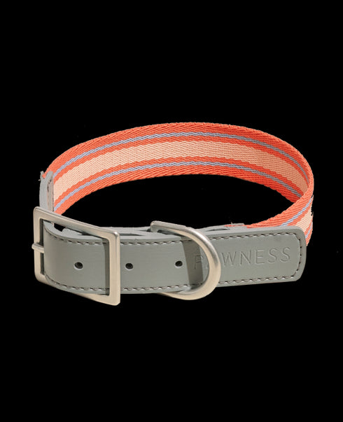 Trix Dog Collar Recycled Polyester & Vegan Leather Trim
