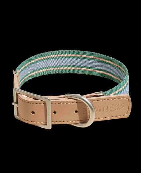 Trix Dog Collar Recycled Polyester & Vegan Leather Trim