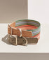 Trix Dog Collar Recycled Polyester & Vegan Leather Trim