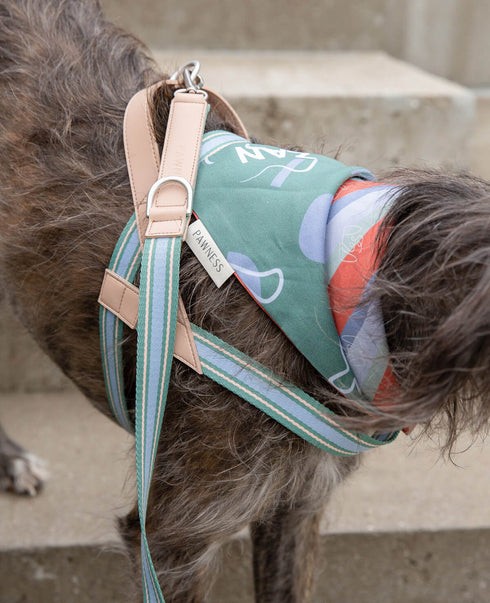 Trix Harness with Vegan Leather Trim