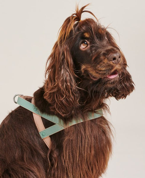 Bo Vegan Leather Harness