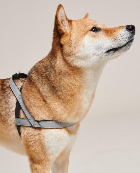 Bo Vegan Leather Harness