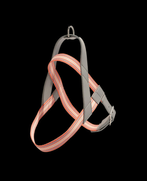 Trix Harness with Vegan Leather Trim