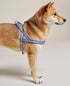 Bo Vegan Leather Harness