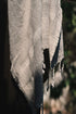 Birdy Cotton Shawl